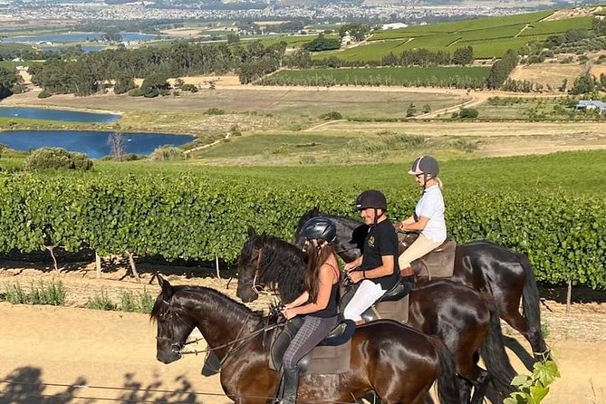 Half Day – Wine Tasting Horse Trail - What you actually get for $222.15 per person