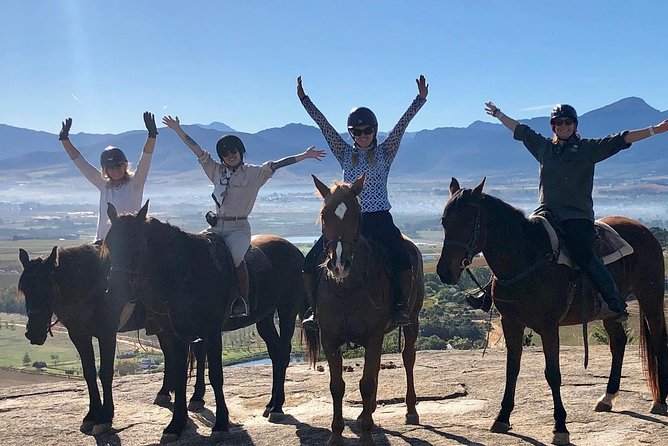 Half Day – Wine Tasting Horse Trail - The horses and safety basics that actually matter