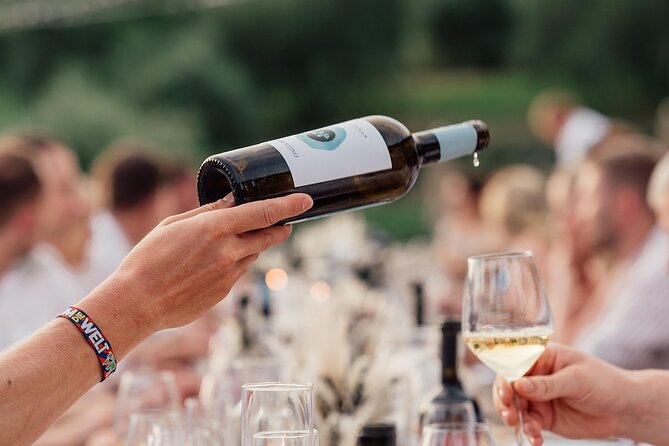 Half Day Wine Tour from Cape Town - A Half-Day Wine Reset Out of Cape Town
