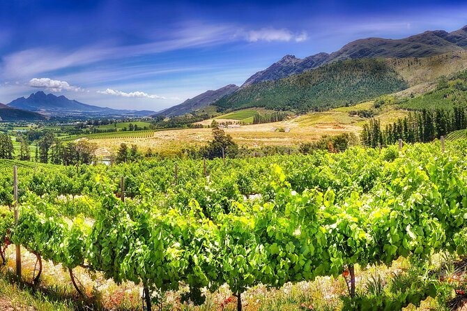 Half Day Wine Tour from Cape Town - The Drive North-East: Getting Context Before the First Sip