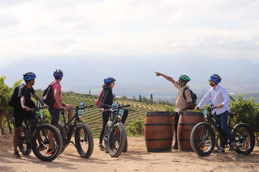 Half-Day Winelands E-Bike Tour with Wine Tasting - Key Things to Know Before You Go