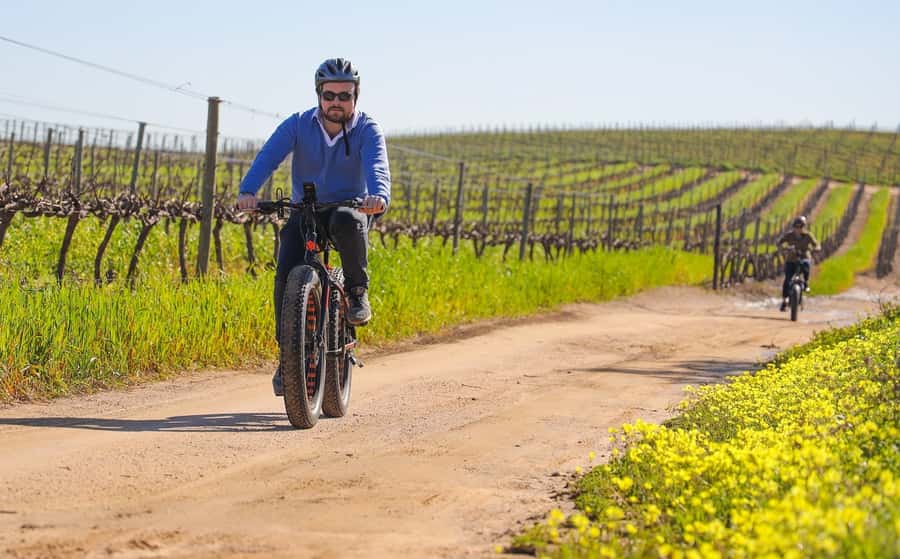 Half-Day Winelands E-Bike Tour with Wine Tasting - The Vineyards on E-Bike: Hills, Control, and What “Effortless” Means