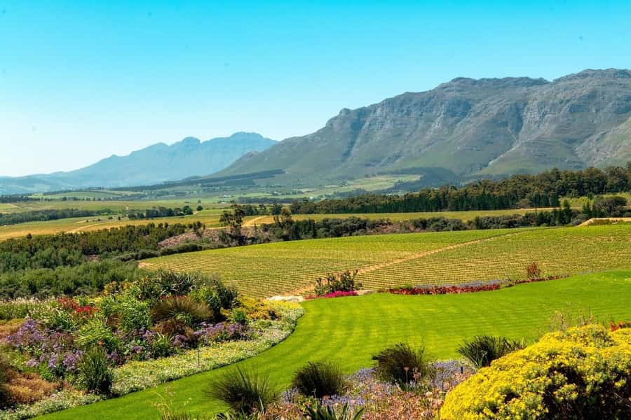 Half-Day Winelands E-Bike Tour with Wine Tasting - Getting There Smoothly: Pickup, Van Ride, and Timing