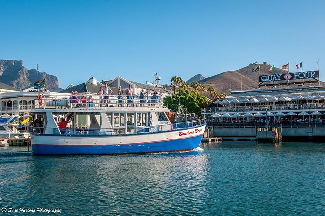 Half Hour Seal and Harbour Cruise from Cape Town - Key highlights before you go