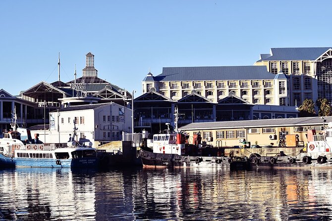Half Hour Seal and Harbour Cruise from Cape Town - Seal and bird spotting: what to expect and how to boost your odds