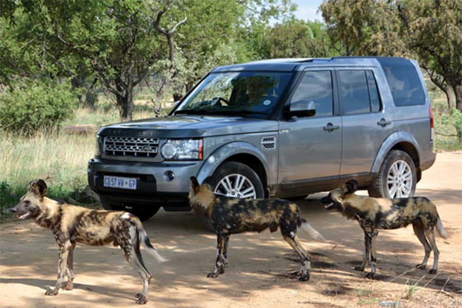 Hartbeespoort: Self-Drive Lion and Safari Park Tour - A Quick Reality Check on Location and Getting There