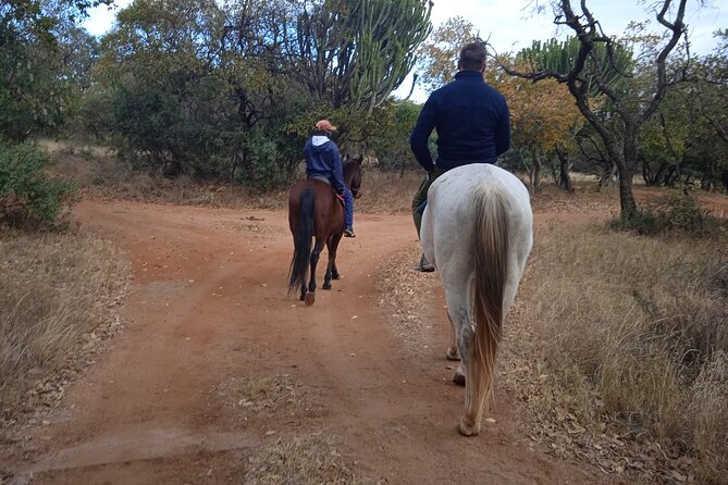 Harties Horse Trail Safari Half day - Key highlights at a glance