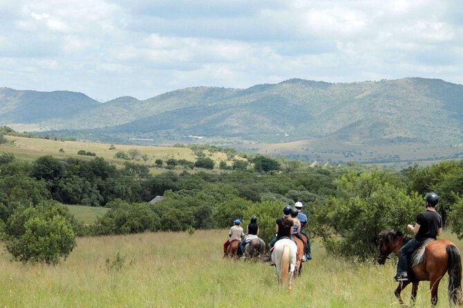 Harties Horse Trail Safari Half day - Horseback Safari in the Pretoria area, a real break from the game drive