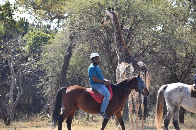 Harties Horse Trail Safari Half day - How first-time riders handle the trail
