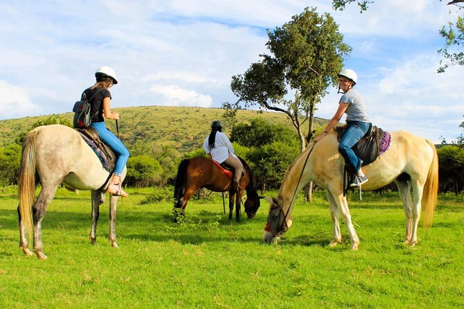 Harties Horse Trail Safari Half day - Wildlife viewing from horseback, why it feels different