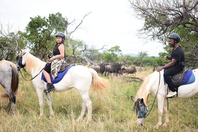 Harties Horse Trail Safari Half day - Comfort and expectations: what to mentally prepare for