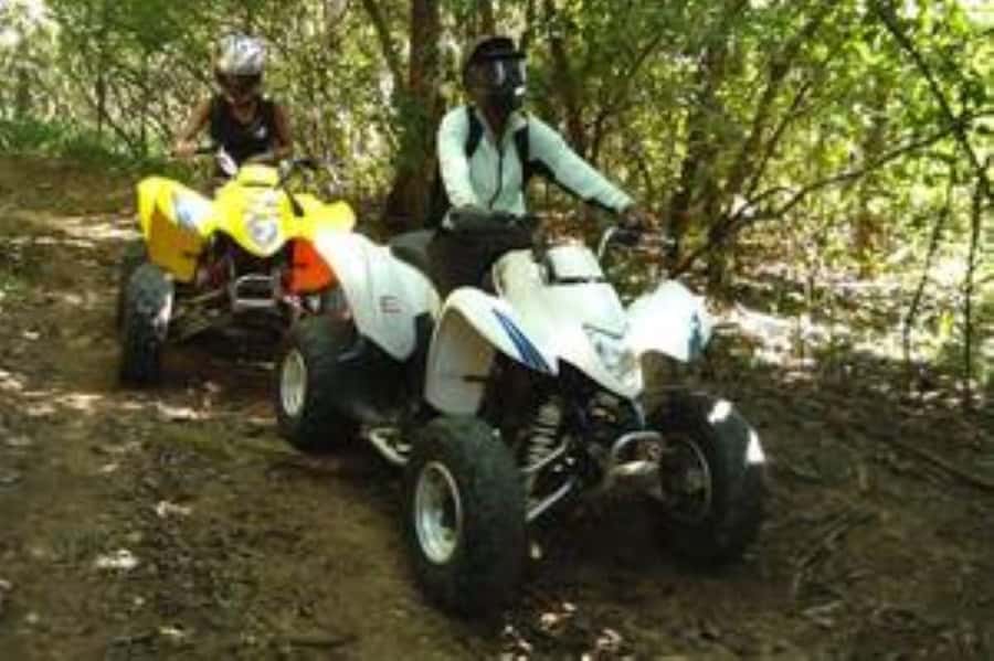 Hazyview: Guided Macadamia Plantation and Forest Quad Safari - Riding Scenic Trails Along the Sabie River Through the Forest