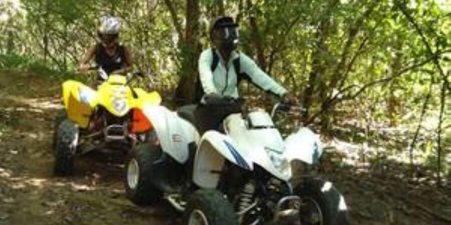 Hazyview: Guided Macadamia Plantation and Forest Quad Safari - Price and Value at About $48 for a Guided, Small-Group Ride