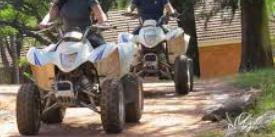Hazyview: Guided Macadamia Plantation and Forest Quad Safari - Who This Quad Safari Fits Best (and When to Think Twice)