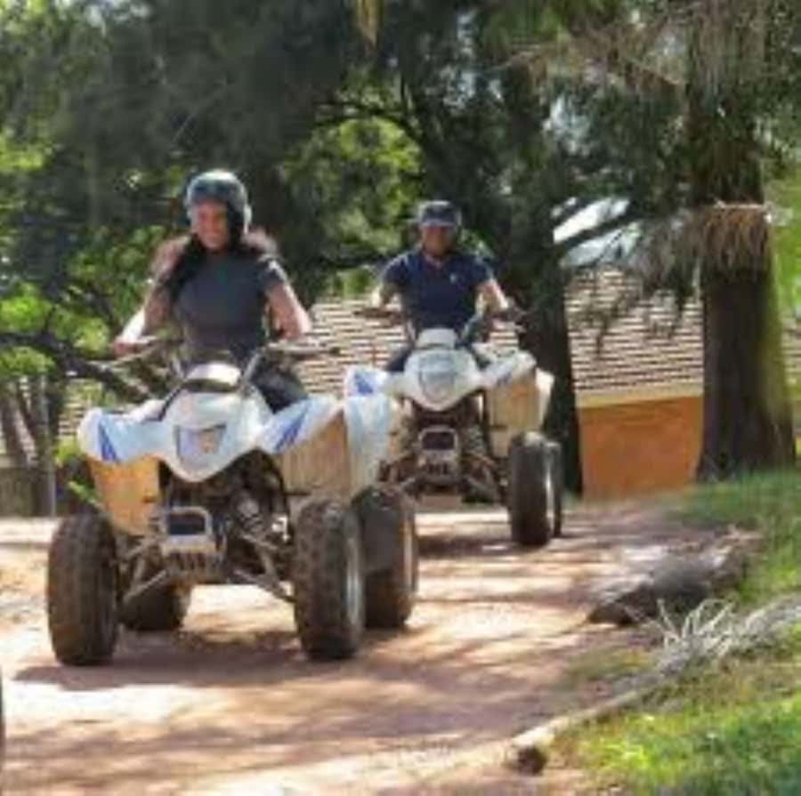 Hazyview: Guided Macadamia Plantation and Forest Quad Safari - Safety Briefing and Quad Training That Builds Confidence