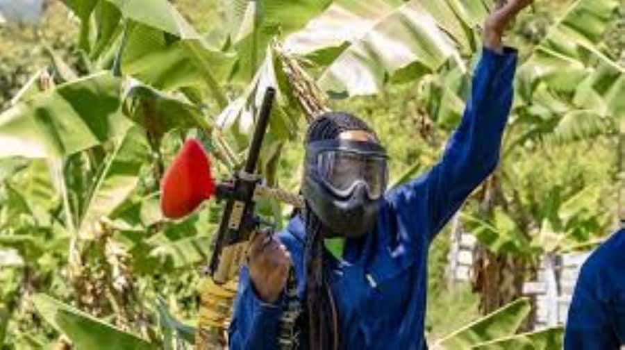 Hazyview : Paintball Target Shooting - Paintball Target Shooting in Hazyview: Fast Adrenaline, Real Accuracy