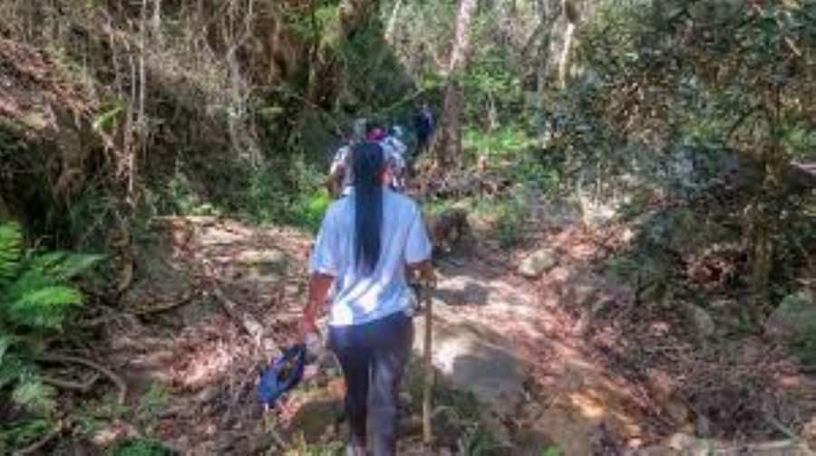 Hazyview : Sabie River Hiking Trail 12km - Key highlights to know before you go