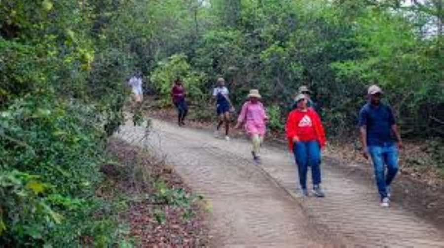 Hazyview : Sabie River Hiking Trail 12km - Following the Sabie River: shade, brooks, pools, and real water sounds