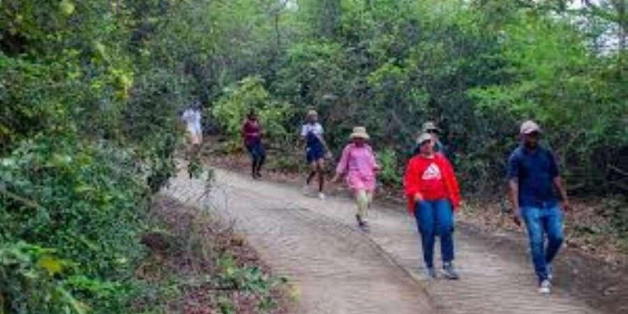 Hazyview : Sabie River Hiking Trail 12km - Bhunyantuthu Waterfall and Cascade Waterfall: where the day earns its keep