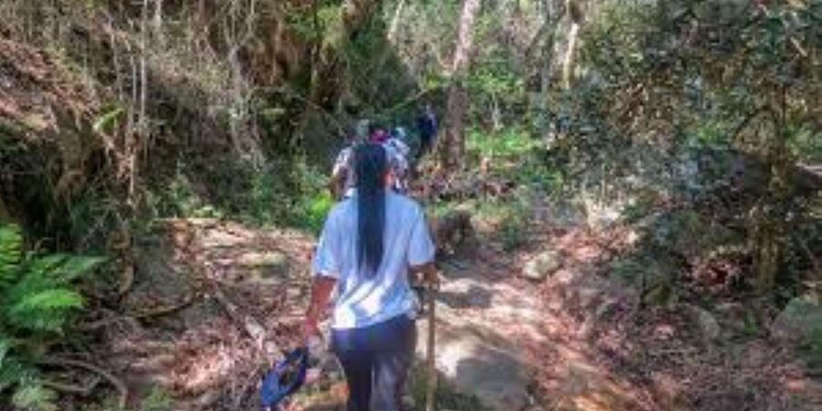 Hazyview : Sabie River Hiking Trail 12km - What to bring (and what to skip) for a smoother Sabie River day