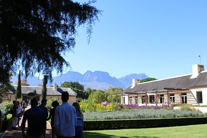 Helderberg Valley Winelands Day Tour with Private Transfer - Lourensford Market and Vergelegen gardens: camphor forest picnic energy