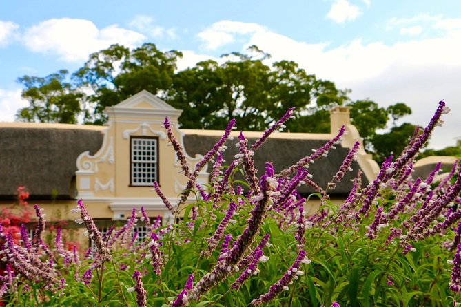 Helderberg Valley Winelands Day Tour with Private Transfer - Lourensford Wine Estate: chocolate pairings that actually match the wine