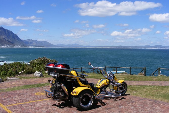 Hermanus and Whale Route Trike Tour from Cape Town - Quick take: what makes this trike whale route special