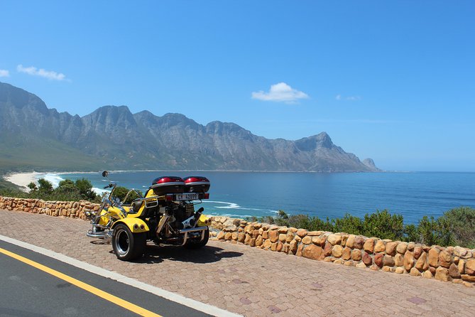 Hermanus and Whale Route Trike Tour from Cape Town - Kleinmond and Betty’s Bay: small stops, big coastal contrast