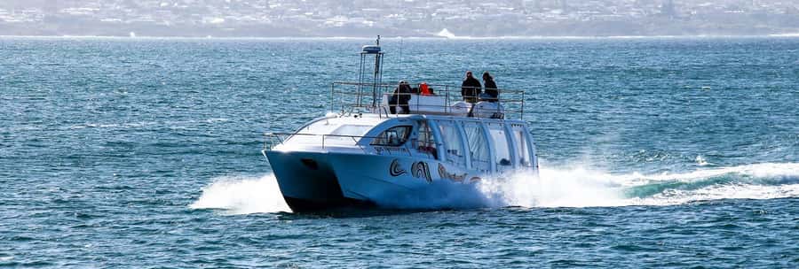 Hermanus: Boat Based Whale Watching Experience - Hermanus from the sea: why the scenery is not just a backdrop