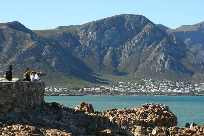 Hermanus Land based Whale Tour with Dave de Beer - Why Hermanus is so good for land whale watching