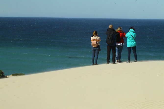 Hermanus Land based Whale Tour with Dave de Beer - Should you book this tour with Dave de Beer?