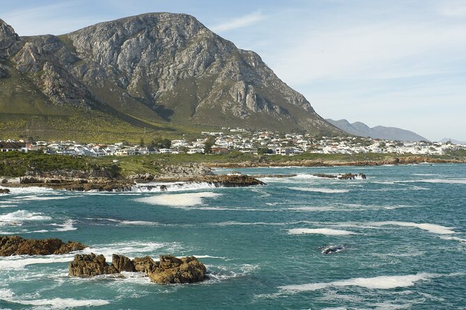 Hermanus Land based Whale Tour with Dave de Beer - Stop 2: Hermanus cliff path with Dave’s secret sighting locations
