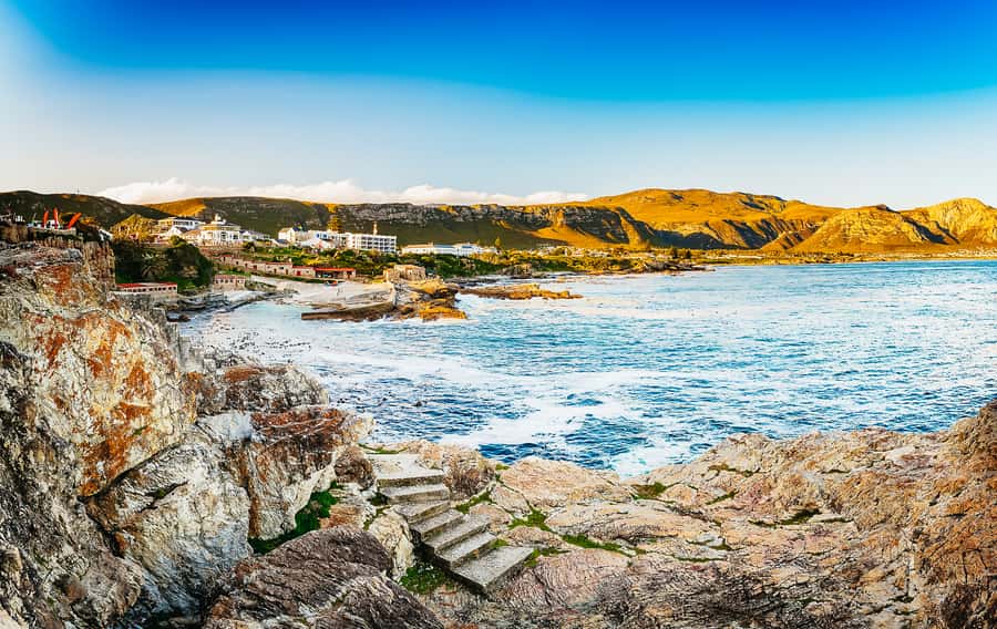 Hermanus: Whale and Dolphin Watching Boat Trip - Price and Value at About $98: What You’re Buying