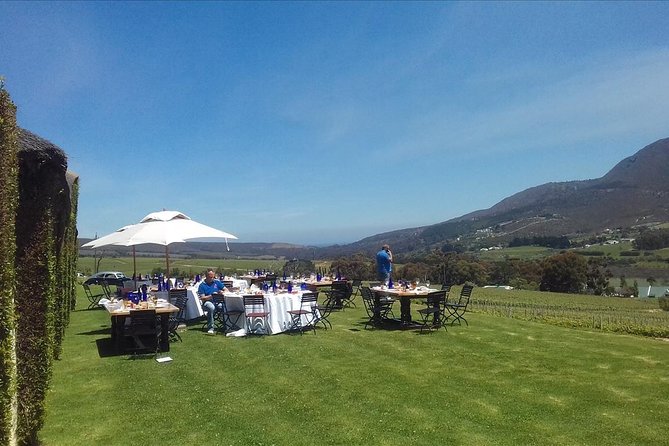 Hermanus Whale Coast Wine Tour (Cape To Grape Wine Tours) - Key highlights you will feel right away