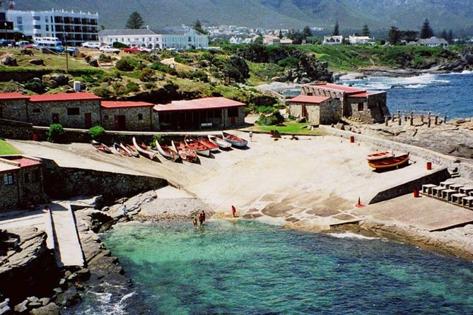Hermanus Whale Coast Wine Tour (Cape To Grape Wine Tours) - Why Hermanus and the Hermanus Wine Route go together so well