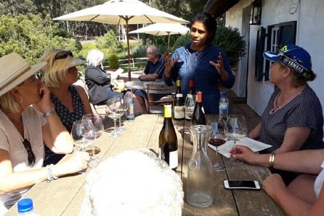 Hermanus Whale Coast Wine Tour (Cape To Grape Wine Tours) - Stop 2: Bouchard Finlayson cellar tour and tastings