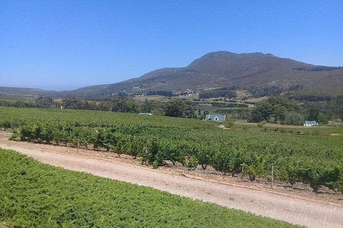 Hermanus Whale Coast Wine Tour (Cape To Grape Wine Tours) - Stop 4: Spookfontein Wines and Tastings, your flexible tasting hour