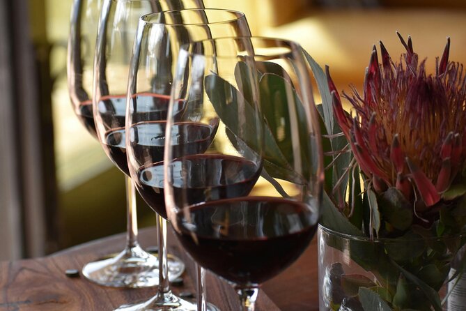 Hermanus Whale Watching and Wine Tasting - Price and value math for $235 per person