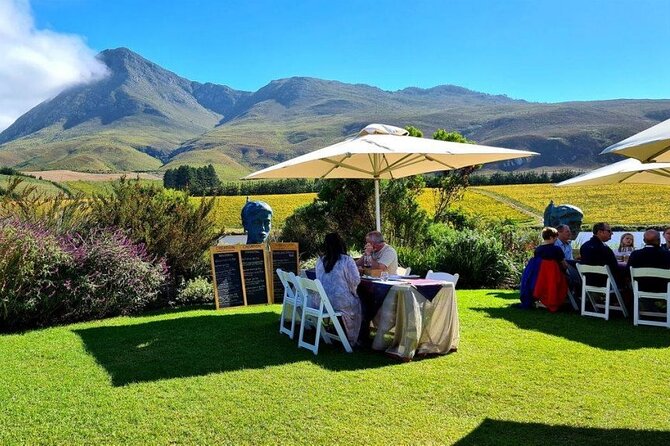 Hermanus Whale Watching and Wine Tasting Private Tour - Creation Wines in Hemel-en-Aarde, and what to expect from the tasting