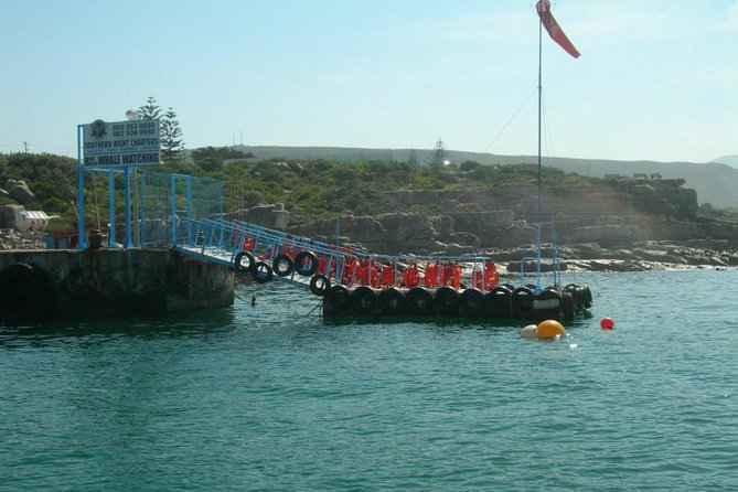 Hermanus Whale Watching & Penguins Shared Tour from Cape Town - New Harbour cruise: what your time on the boat is really like