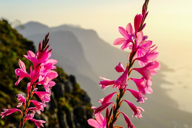 Hike Table Mountain via the India Venster trail - India Venster: Table Mountain for people who like hands-on terrain