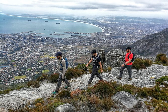 Hike Table Mountain with a Guide - Choose Route - Reaching the Top and Coming Down: Cable Car If It’s Open