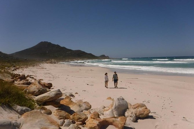 Hiking Cape of Good hope, Cape Point & Penguins Private Full Day - Cape Point Lunch and the Old Lighthouse View Options