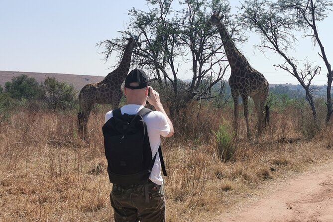 Hiking In the Magaliesberg,Wildlife hike an hour fromJohannesburg - Key things to know before you go