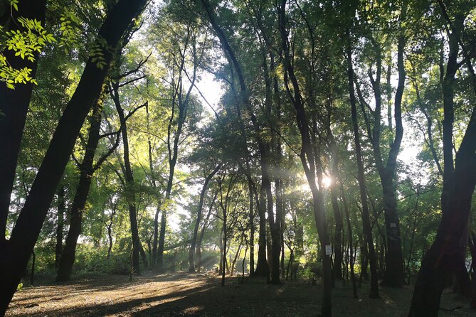 Hiking In the Magaliesberg,Wildlife hike an hour fromJohannesburg - What the hike feels like on the ground