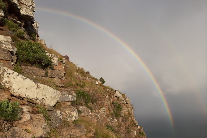 Hiking Lion's Head for sunrise, coffee & hotel Pick-up & Drop off - Photo Stops That Actually Mean Something