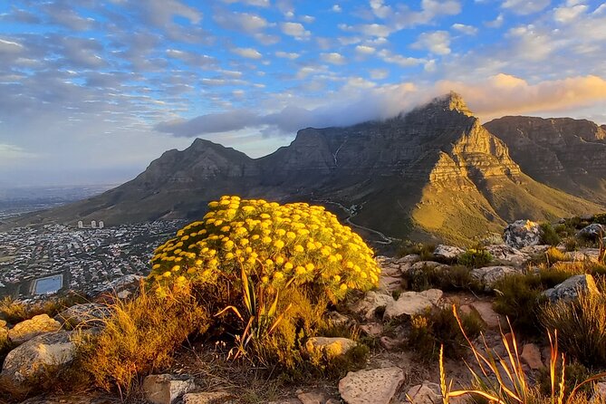 Hiking Lion's Head Sunrise or Sunset - Time, distance, and why this is a smart half-day plan