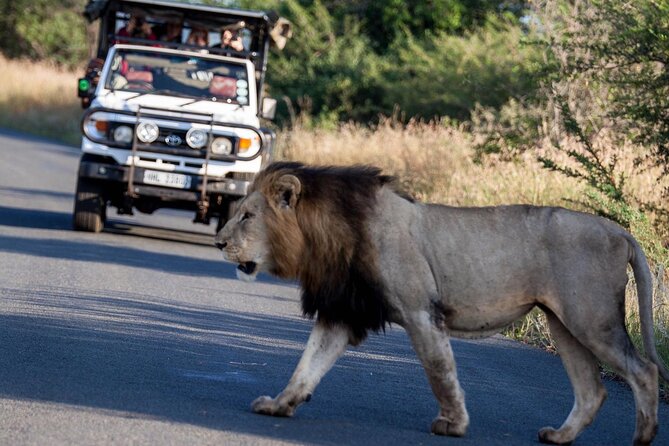 Hluhluwe Big Five Safari Richards Bay Shore Excursion - Hluhluwe-iMfolozi: why this park matters for your day