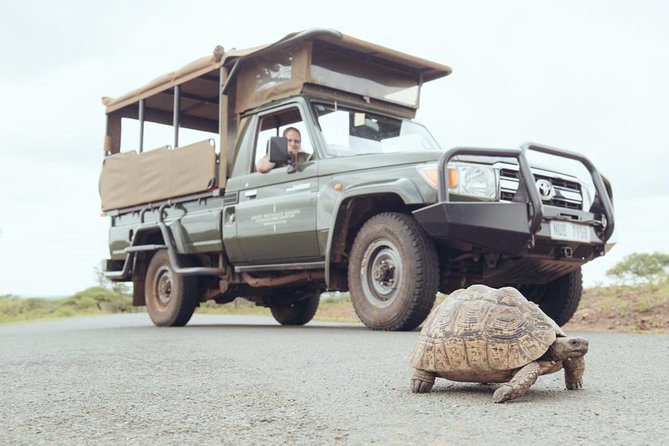 Hluhluwe Game Drive - Half day - Hluhluwe Game Drive is a focused, half-day wildlife mission