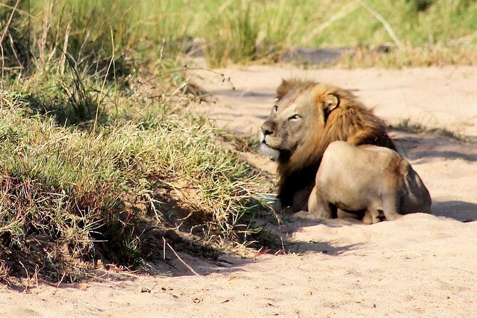 Hluhluwe Game Drive - Half day - Where you start: Memorial Gate, and why it’s a good launch point